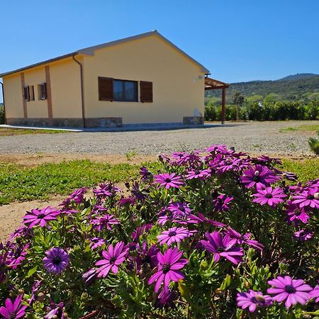 Agriturismo Fusini Magliano in Toscana Eksteriør bilde