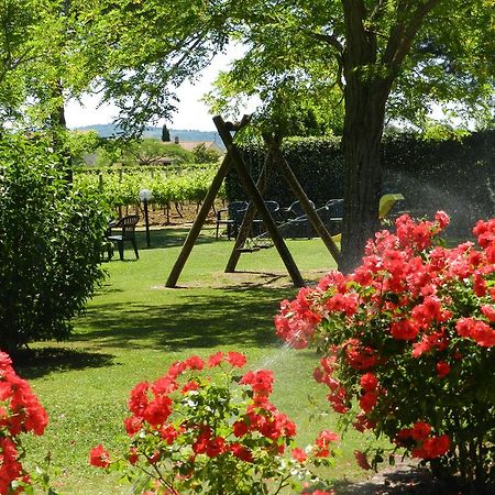 Agriturismo Fusini Magliano in Toscana Eksteriør bilde