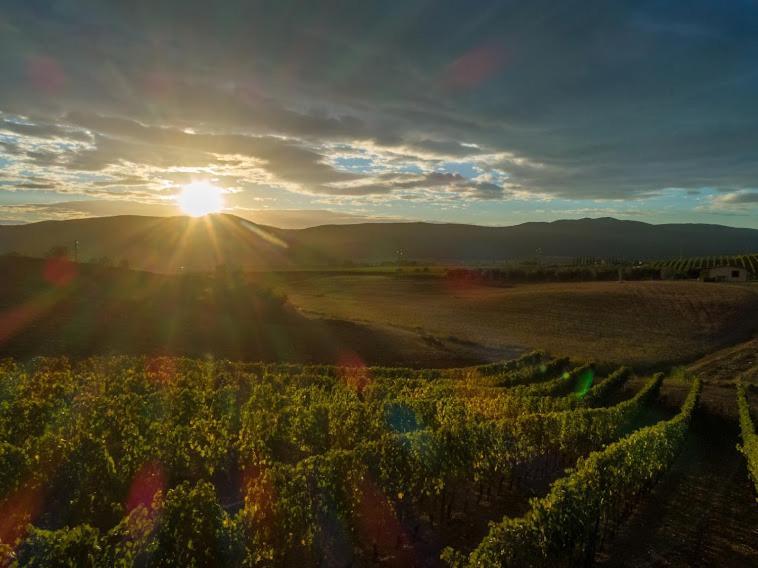Agriturismo Fusini Magliano in Toscana Eksteriør bilde