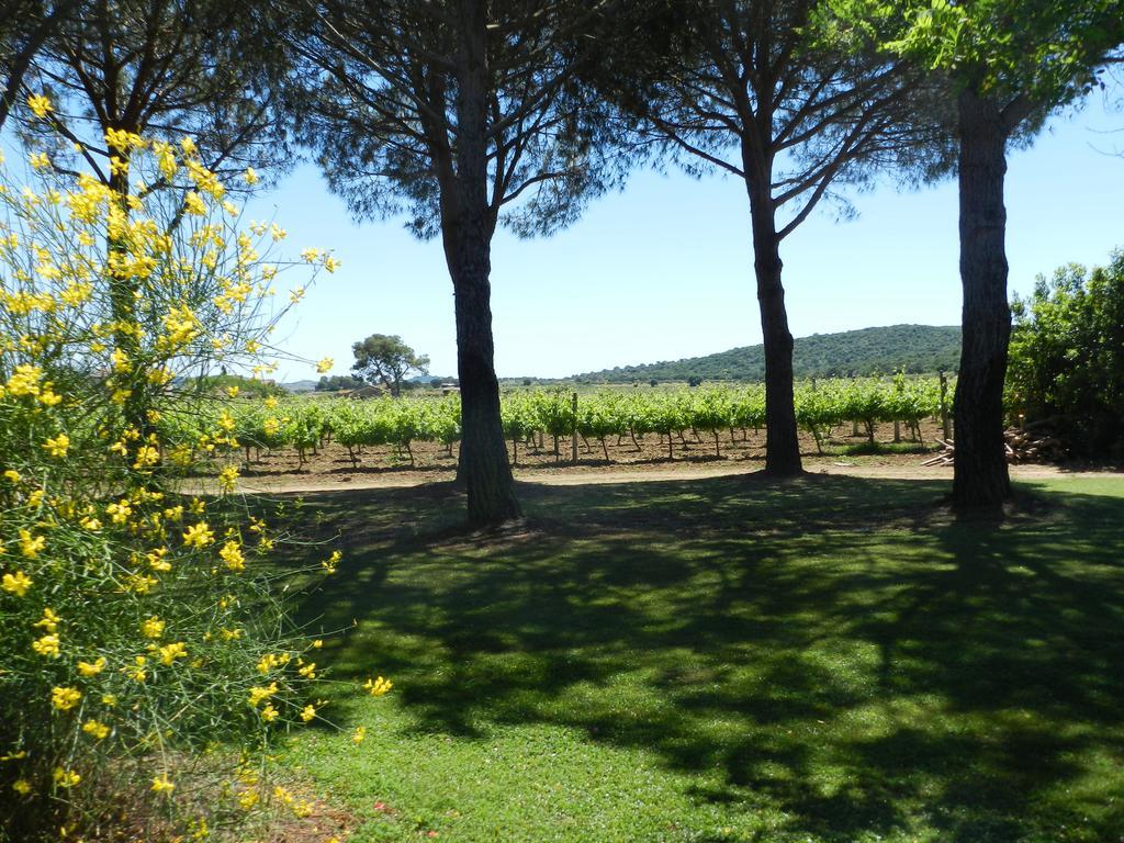 Agriturismo Fusini Magliano in Toscana Eksteriør bilde