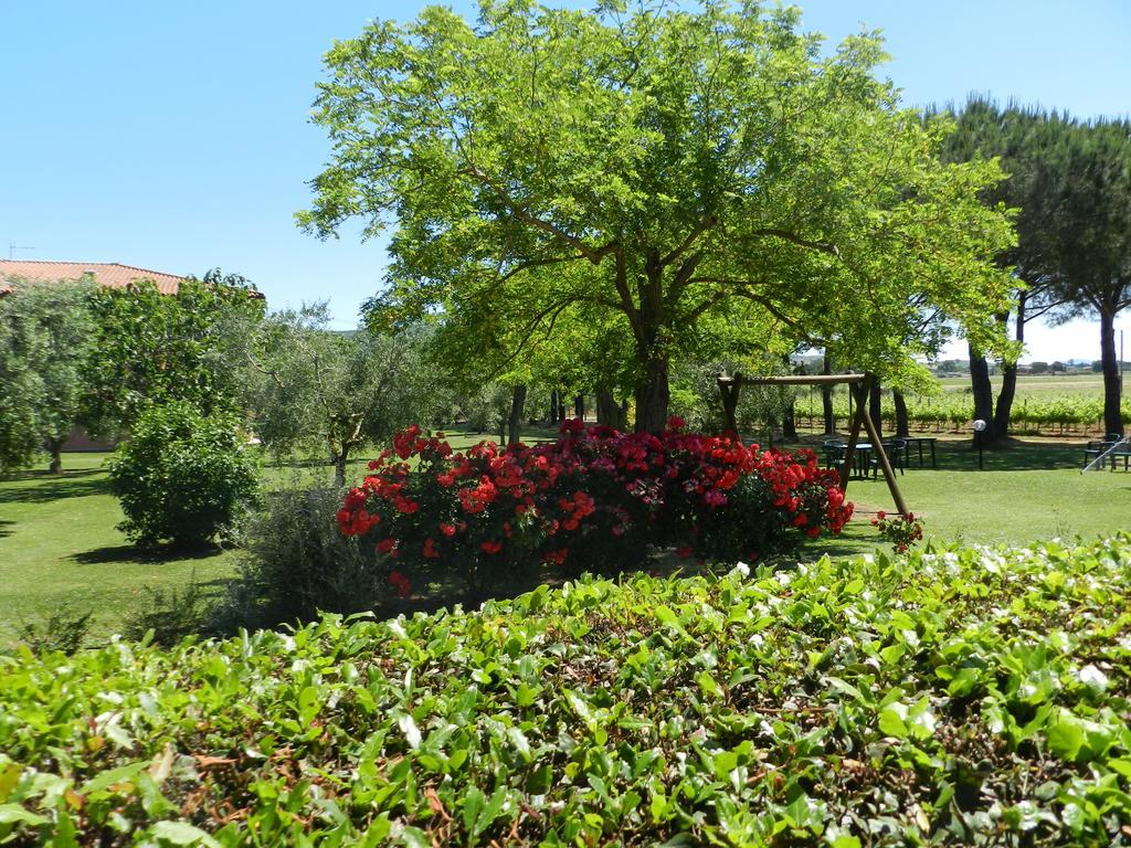 Agriturismo Fusini Magliano in Toscana Eksteriør bilde