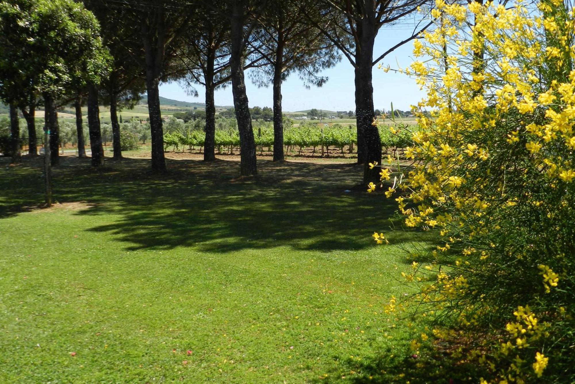 Agriturismo Fusini Magliano in Toscana Eksteriør bilde