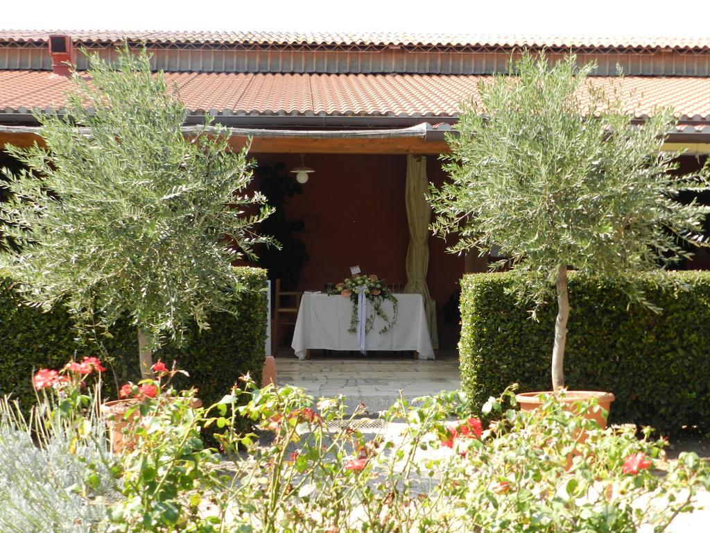 Agriturismo Fusini Magliano in Toscana Eksteriør bilde