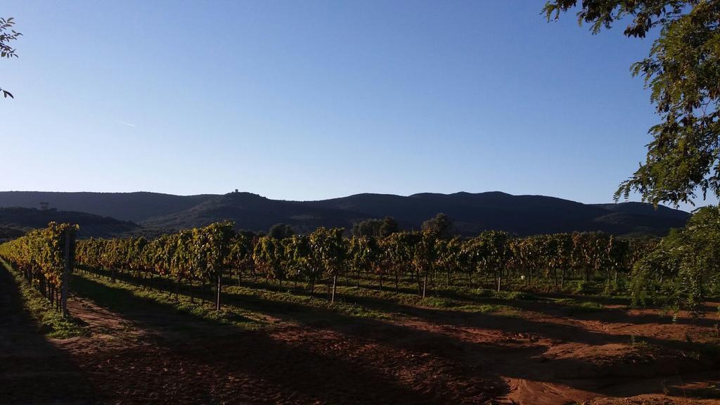 Agriturismo Fusini Magliano in Toscana Eksteriør bilde